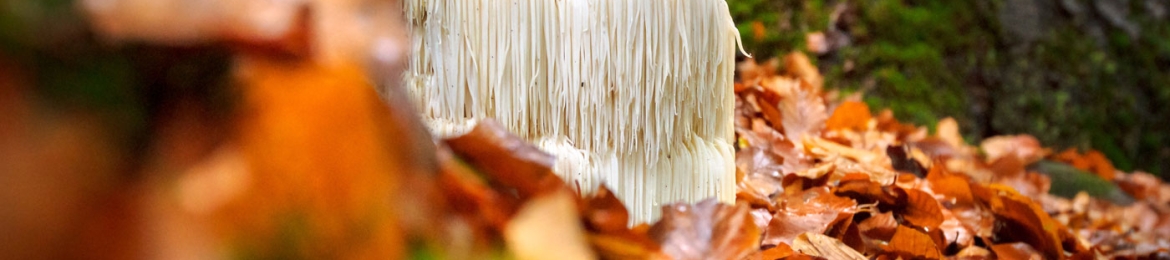 Aaron Pretto Vopni's cover banner