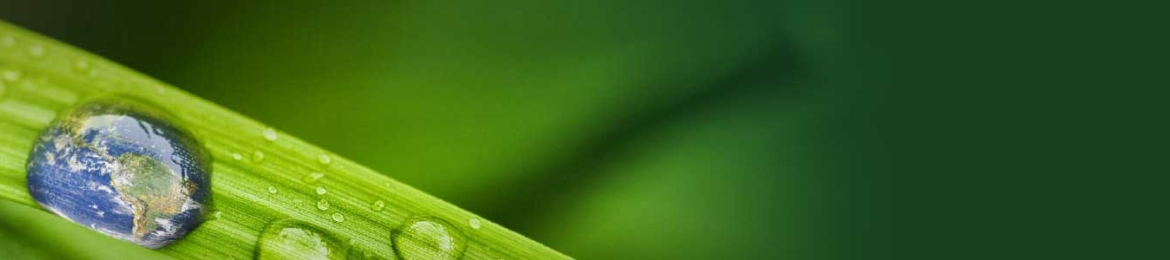 Aaron Perry's cover banner