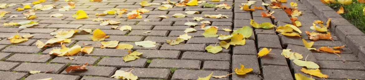 Aiping Wang Fulepp's cover banner