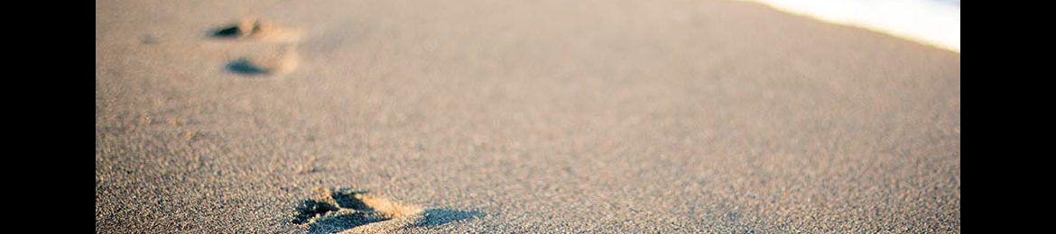 Aleksandra Dimova's cover banner