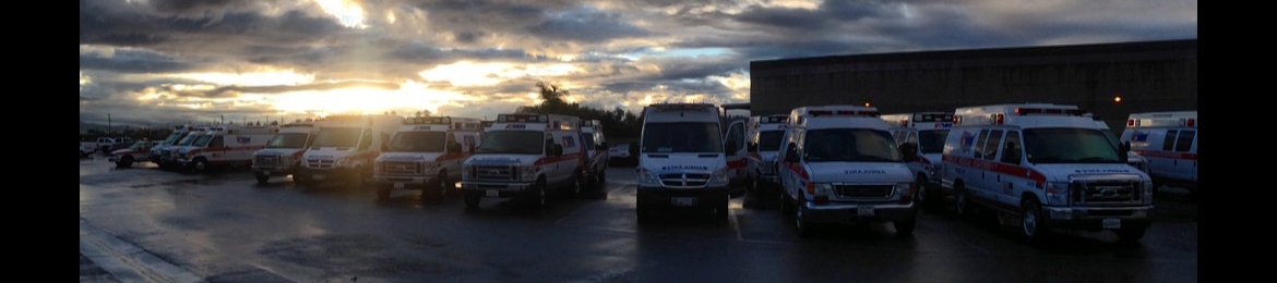 Alexandra Jabr's cover banner