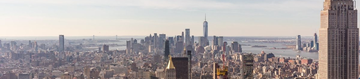 Alexandra Rodrigues's cover banner