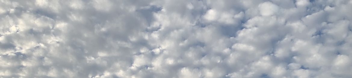 Alexis Solomon's cover banner