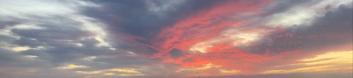 Alice Collins's cover banner