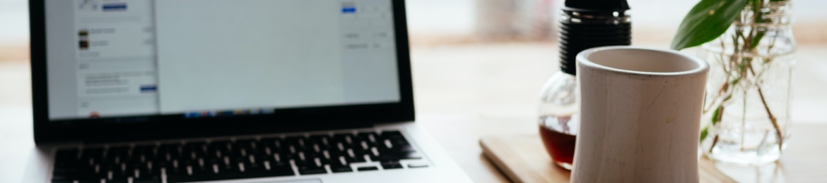 Alina Gegamova's cover banner