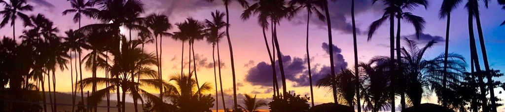 Amanda Mendez's cover banner