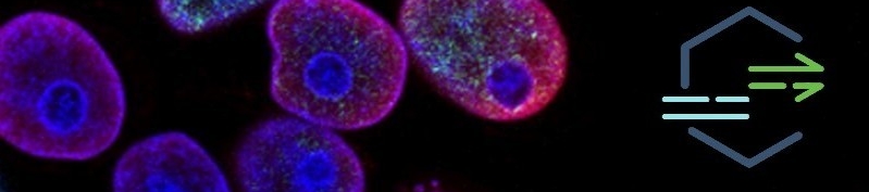 Amiel Gross's cover banner