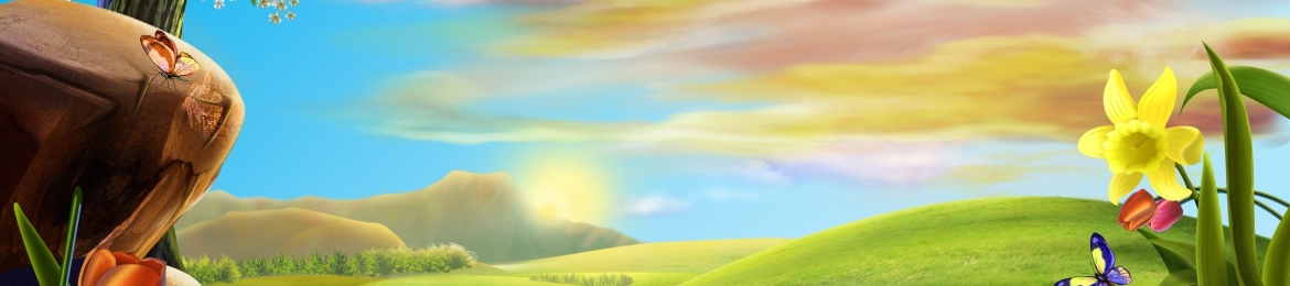 Amy Bishop Optometrist's cover banner