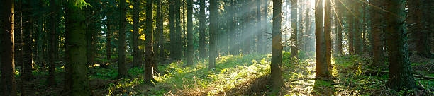 Anat Samid's cover banner