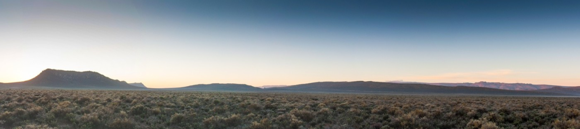 Andrew Collier's cover banner