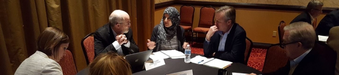 Aneesa Muthana's cover banner