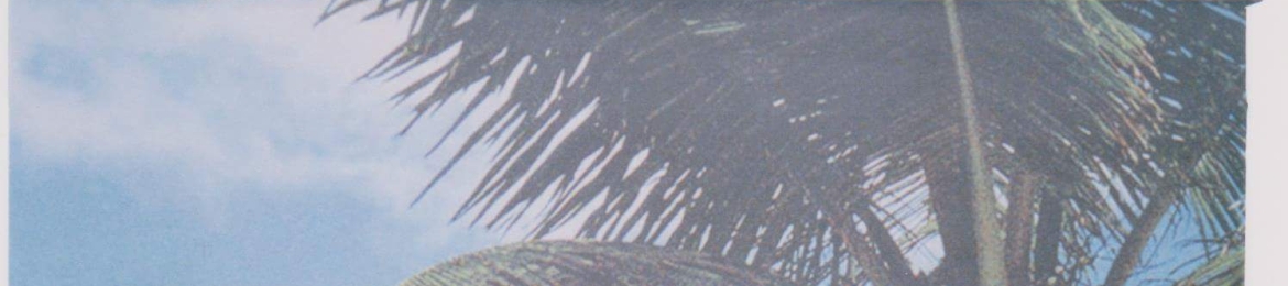 Angela Walker's cover banner