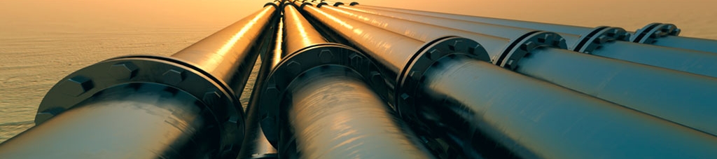 Anna Gumbau's cover banner