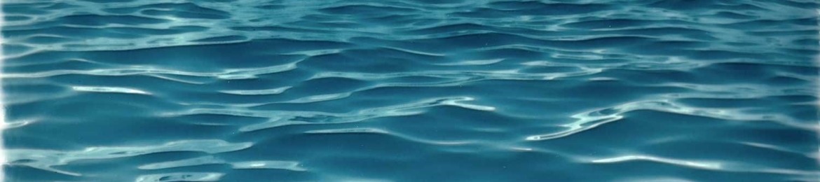 Anneshia Freeman's cover banner