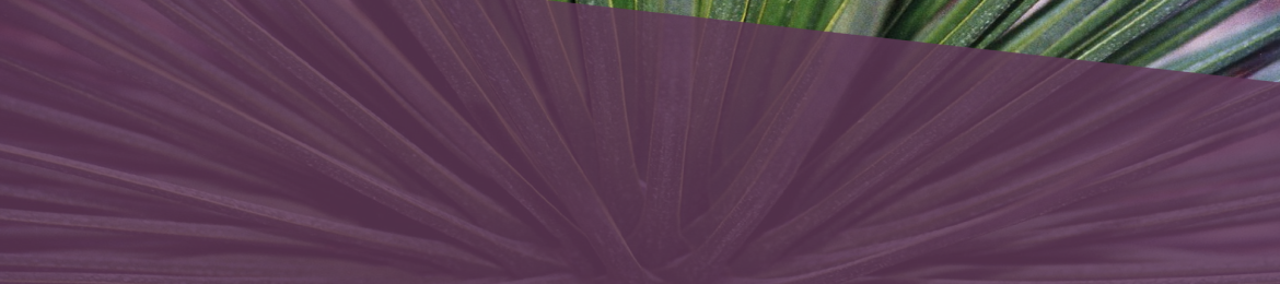 Annie Hardy's cover banner