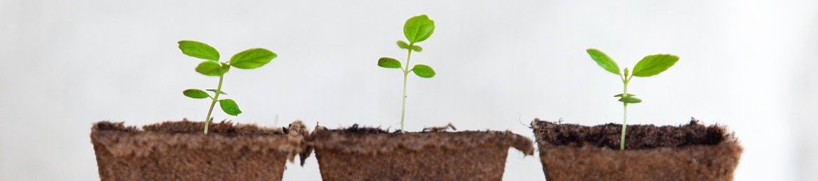 April Welch's cover banner