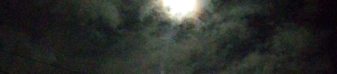 Ariadne Wolf's cover banner