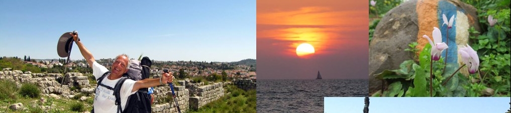 Aryeh Green's cover banner