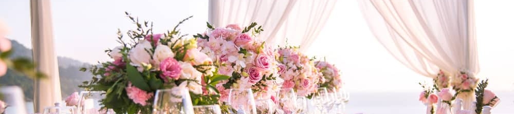 Athena Pettit's cover banner