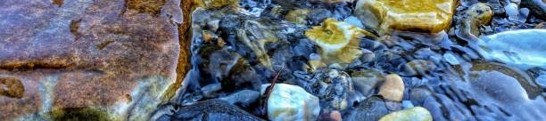 Barbara Schumann Lamb's cover banner