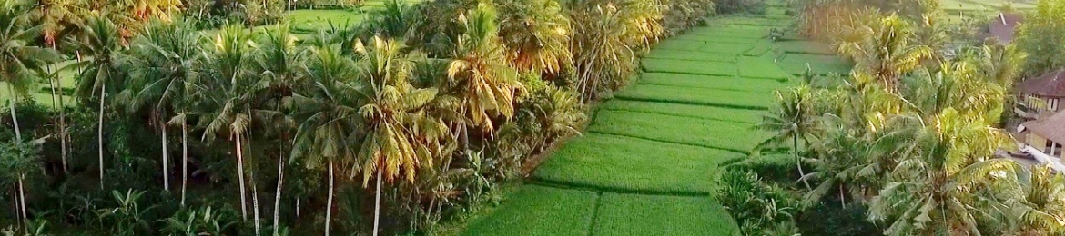 Beth Bell's cover banner