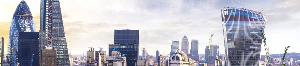 BINDI KARIA's cover banner