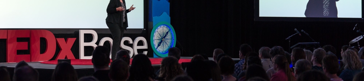 Bobbi K Dominick, SPHR, SHRM-SCP, Investigator, Expert's cover banner