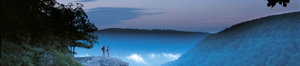 Brandy Dailey's cover banner