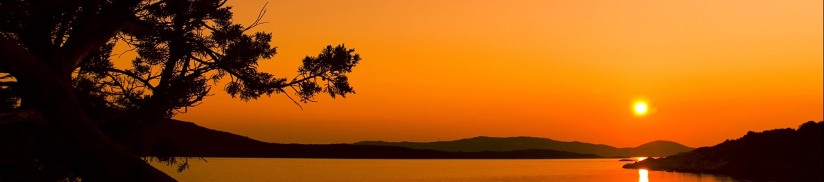 Brenda Kotewa's cover banner