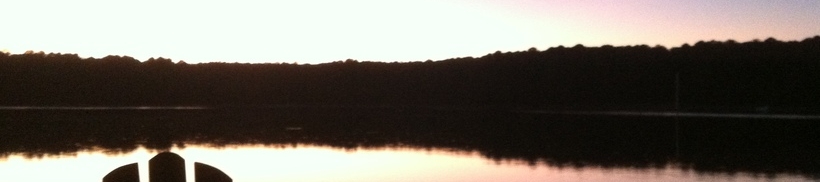 Brigitte Cutshall's cover banner