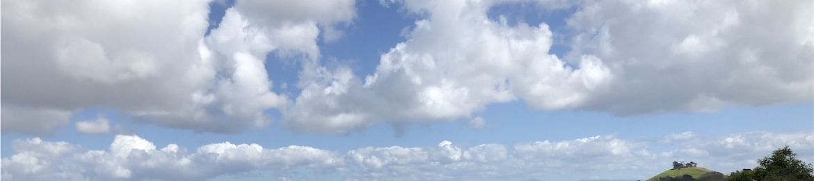 Bronwyn Bailey's cover banner