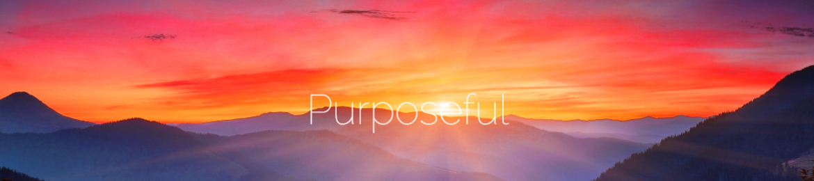 Brooke Erol's cover banner