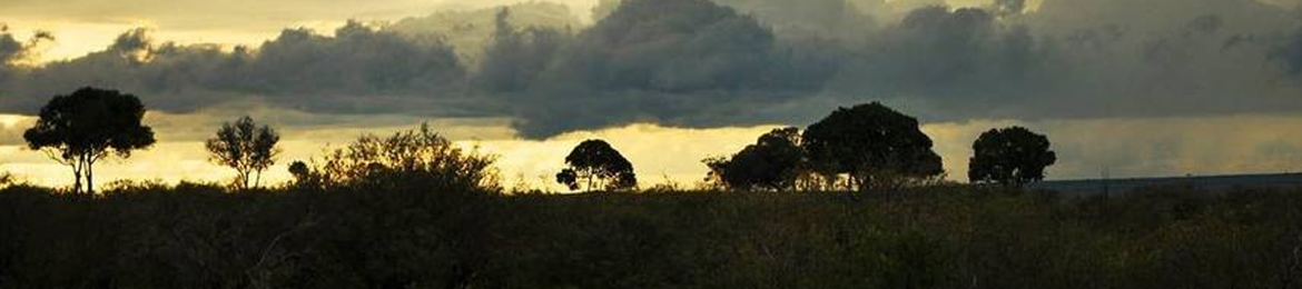 Bwire Msanii's cover banner