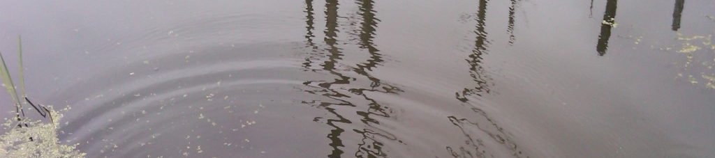 CLAUDIA COENEN's cover banner