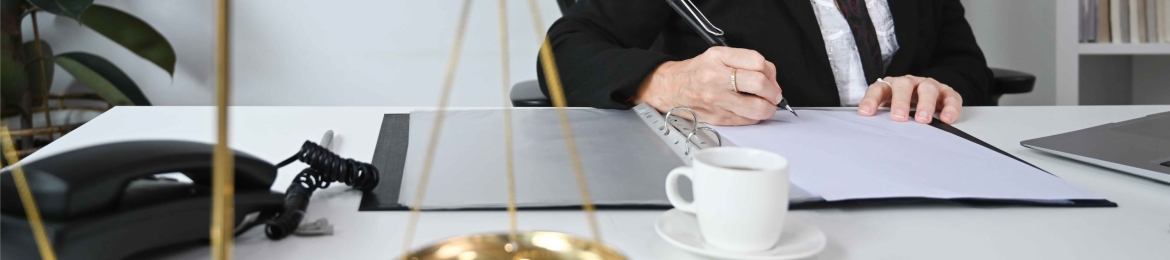 Carmen Josefina López Arismendi's cover banner