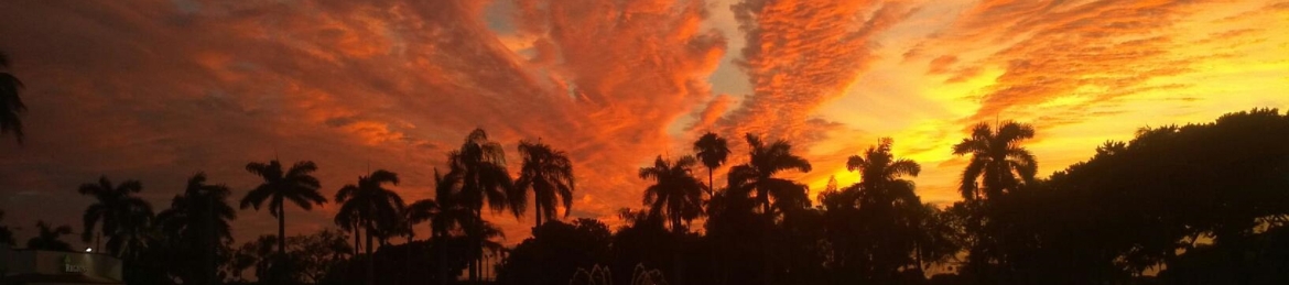 Carol Dekkers's cover banner