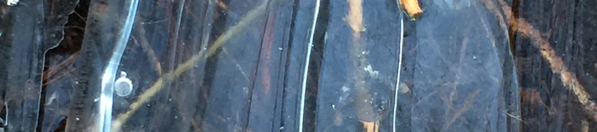 Caroline Fairless's cover banner