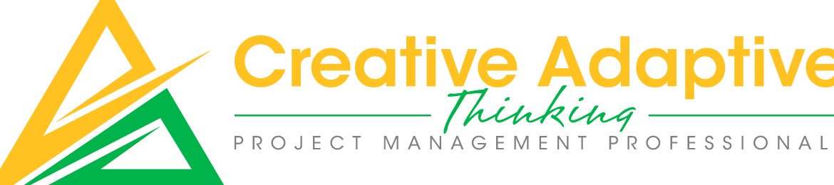 Cecilio Mills Pmp, Acp, Lssgb, Leed Ga's cover banner