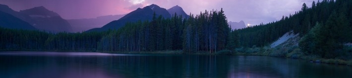 Chad Storey's cover banner