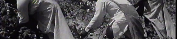 Charles Prickett's cover banner