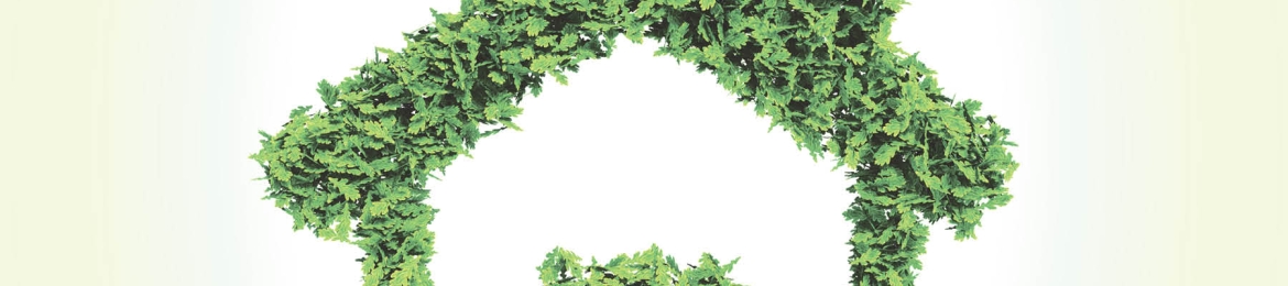 Christine Dimmick's cover banner