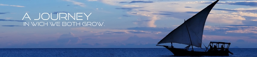 Christophe Boeraeve's cover banner