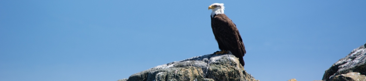 Christopher Judd's cover banner