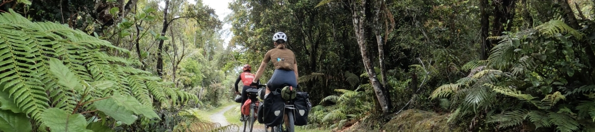 Claire Pomykala's cover banner