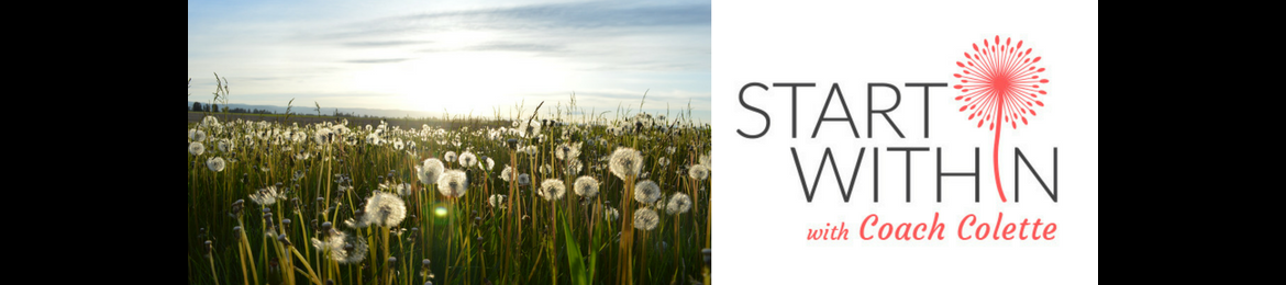 Colette Ellis's cover banner