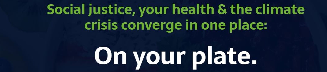 Colleen Kane's cover banner