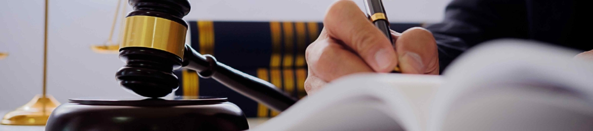 Craig Segal Toronto's cover banner