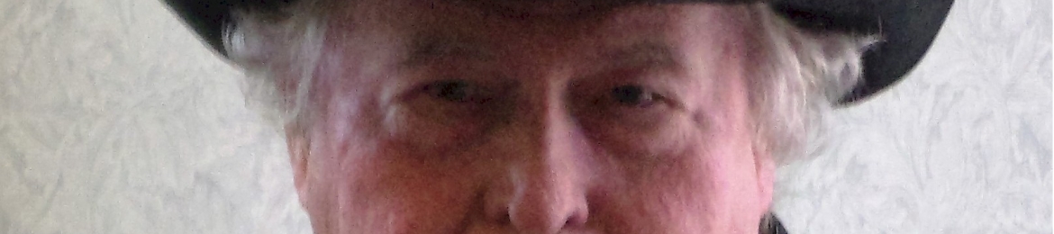 DL Havlin's cover banner