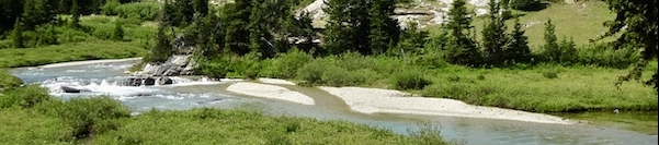 Dan Guerra's cover banner