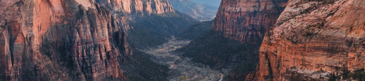 Dan Sims's cover banner